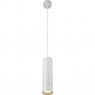 Светодиодный светильник «Elektrostandard» DLR023 IP54, 35084/H, a061363, белый