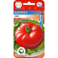 

Томат"КАРАПУЗ" 20шт