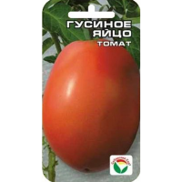 

Томат"ГУСИНОЕ ЯЙЦО"20шт