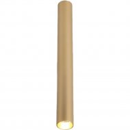 Точечный светильник «Elektrostandard» Pika, 25030/LED, a061120, золотой