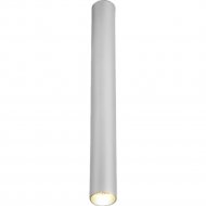 Точечный светильник «Elektrostandard» Pika, 25030/LED, a061121, серебряный