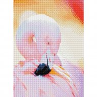 Алмазная мозаика «Рыжий кот» Изящный фламинго, St967