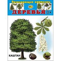 

Карточки "ДЕРЕВЬЯ" Сказ