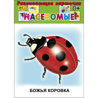 

Карточки "НАСЕКОМЫЕ" Сказ