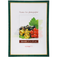 

Рамка пласт.со стекл.(21х30,202)Зел/мрам