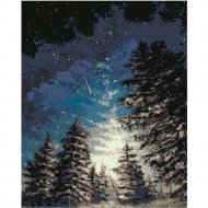 Картина по номерам «Hobruk» Зимний лес HS0062