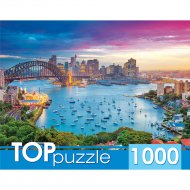 Пазл «Рыжий кот» TOPpuzzle. Сидней, ГИТП1000-2156, 1000 элементов