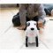 Робот-собака радиоуправляемый «Happy Cow» 777-601