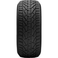 

Шина авт(Winter,225/40R18,92V XL)