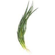 Лук-перо зелёный,100 г