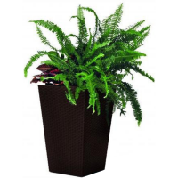 

Кашпо "LARGE RATTAN PLANTER" (228925)