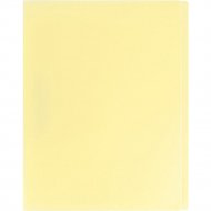 Папка «Darvish» Ice, DV-1772IE-OR, желтый