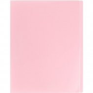Папка «Darvish» Ice, DV-1772IE-PN, розовый