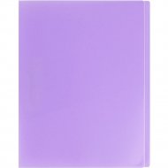 Папка «Darvish» Ice, DV-1772IE-PR, фиолетовый