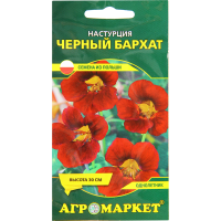 

Настурция "ЧЕРНЫЙ БАРХАТ" 8 шт