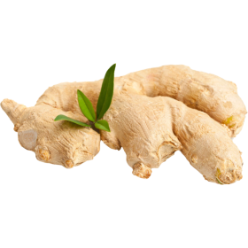 Имбирь