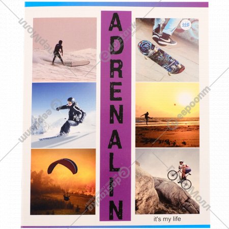 Тетрадь общая «Бумажная фабрика» Adrenalin, фиолетовый, в клетку, 96 листов