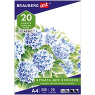 Папка д/рис«BRAUBERG»(129223,А4)20лист