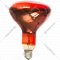 Лампа «ЭРА» ИКЗК 220-250 R127 E27, красный