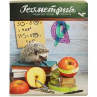 

Тетрадь"ТАЙНАЯ ЖИЗНЬ ЕЖЕЙ.ГЕОМ."(кл,48л)