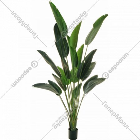 Искусственное растение «Koopman» Банановое дерево, в горшке, 80-297099, зеленый, 240 см