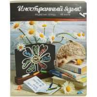 

Тетрадь"ТАЙНАЯ ЖИЗНЬ ЕЖЕЙ.ИН.ЯЗ"(кл,48л)