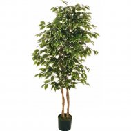Искусственное растение «Koopman» Фикус, в горшке, 80-335647, 150 см