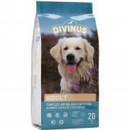 Корм для собак «Divinus» Adult, мясо, 20 кг
