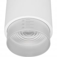 Точечный светильник «Elektrostandard» Cors, 25032/LED 10W, белый/серебро