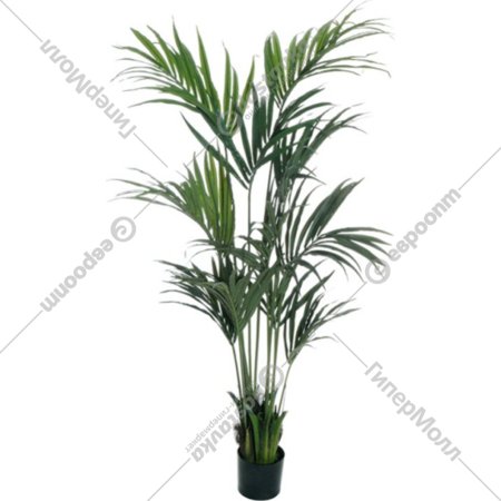 Искусственное растение «Koopman» Пальма Кентия, в горшке, 80-371423, зеленый, 190 см