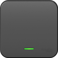 

Выключатель (BLNVA101116)