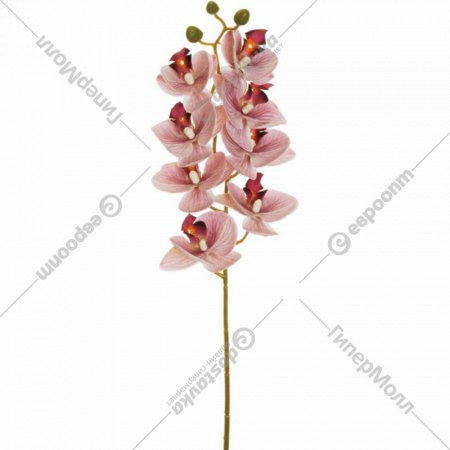 Искусственный цветок «Koopman» Фаленопсис, 80-401441, сиреневый, 78 см