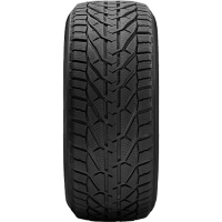 

Шина авт(Winter,205/45R17,88V XL)