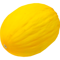 

Дыня "HONEY DEW" 1кг