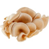Грибы свежие «вешенка обыкновенная» культивируемая, 200 г
