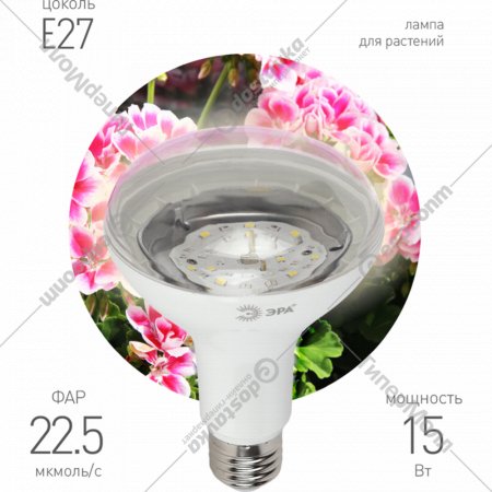 Лампа «ЭРА» LED FITO-15W-Ra90-2150K-E27, Б0039173, полного спектра
