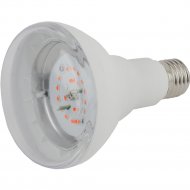 Лампа «ЭРА» LED FITO-16W-RB-1310К-E27, Б0039072, красно-синего спектра