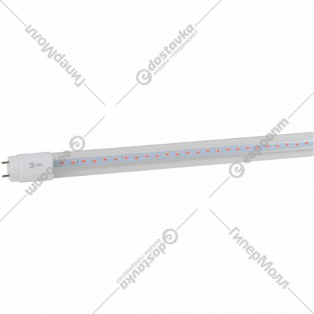 Лампа «ЭРА» LED FITO-18W-RB-Т8-G13-NL, Б0042990, красно-синего спектра
