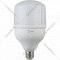 Лампа «ЭРА» LED Power T120-40W-6500-E27, Б0027006