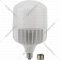 Лампа «ЭРА» LED Power T140-85W-6500-E27/E40, Б0032088