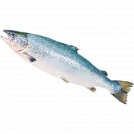 Рыба свежемороженая «РыбаХит» лосось атлантический, 1 кг, фасовка 1 - 1.5 кг