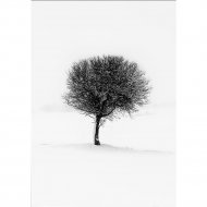 Картина «GenArt» Дерево, 314, 30х40 см