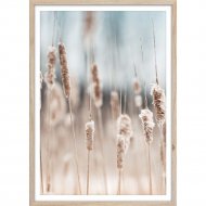 Картина «Orlix» Сухая трава, OB-13811, 50х70 см