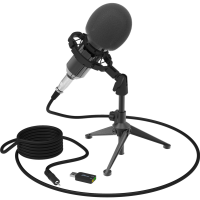 

Микрофон "RITMIX"(RDM-160,черный)