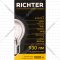 Лампа накаливания декоративная «Richter» Б 230-75-6 75W