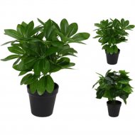 Искусственное растение «GreenDeco» PL4000260, 11х30 см
