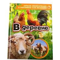 

Книга "В ДЕРЕВНЕ"