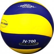 Волейбольный мяч «Vimpex Sport» размер 5, VLPU001