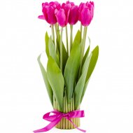 Декоративный букет «Home&You» Tulip, 50167-ROZ-STRO-H0035