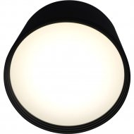 Потолочный светильник «Kinklight» Медина, 05412.19, черный/белый